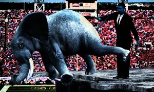 You were supposed to wait for me!