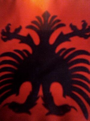 'Their actual crest, and no disrespect intended to their nation, only our Warlord'